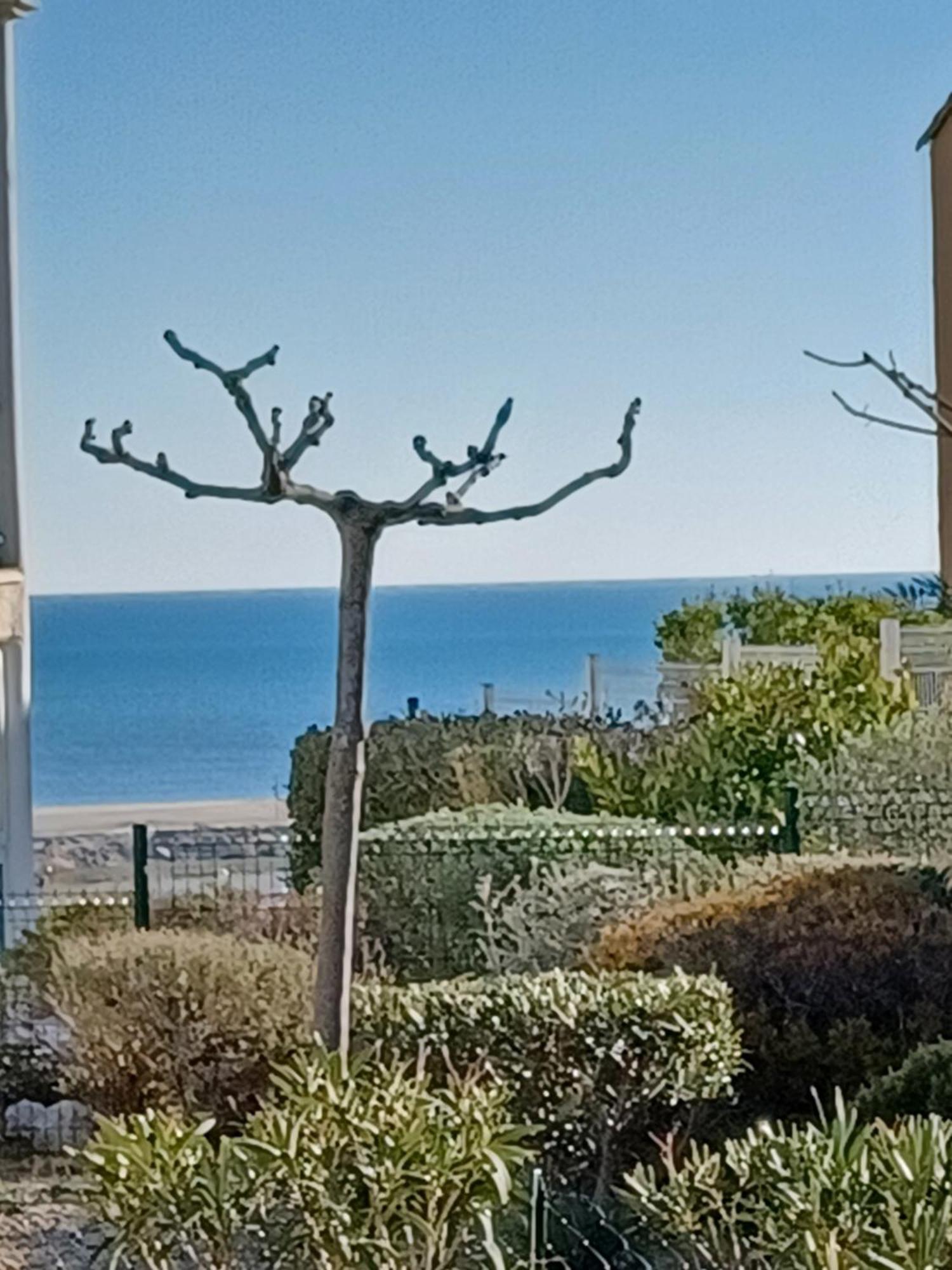 Plain-Pied Jardin 6 Personnes Clim Vue Mer Parking Wifi Terrasse Piscine Dans La Residence Saint-Pierre-la-Mer  Luaran gambar