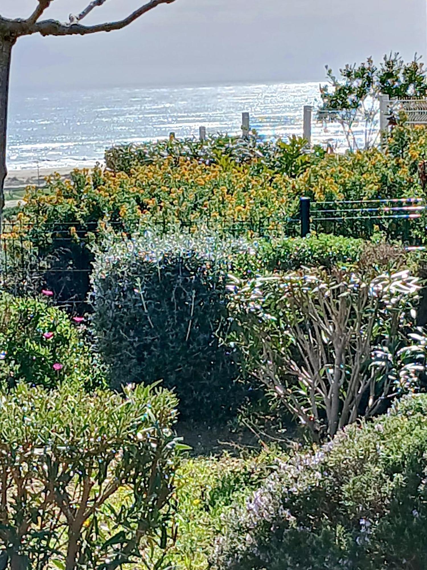 Plain-Pied Jardin 6 Personnes Clim Vue Mer Parking Wifi Terrasse Piscine Dans La Residence Saint-Pierre-la-Mer  Luaran gambar