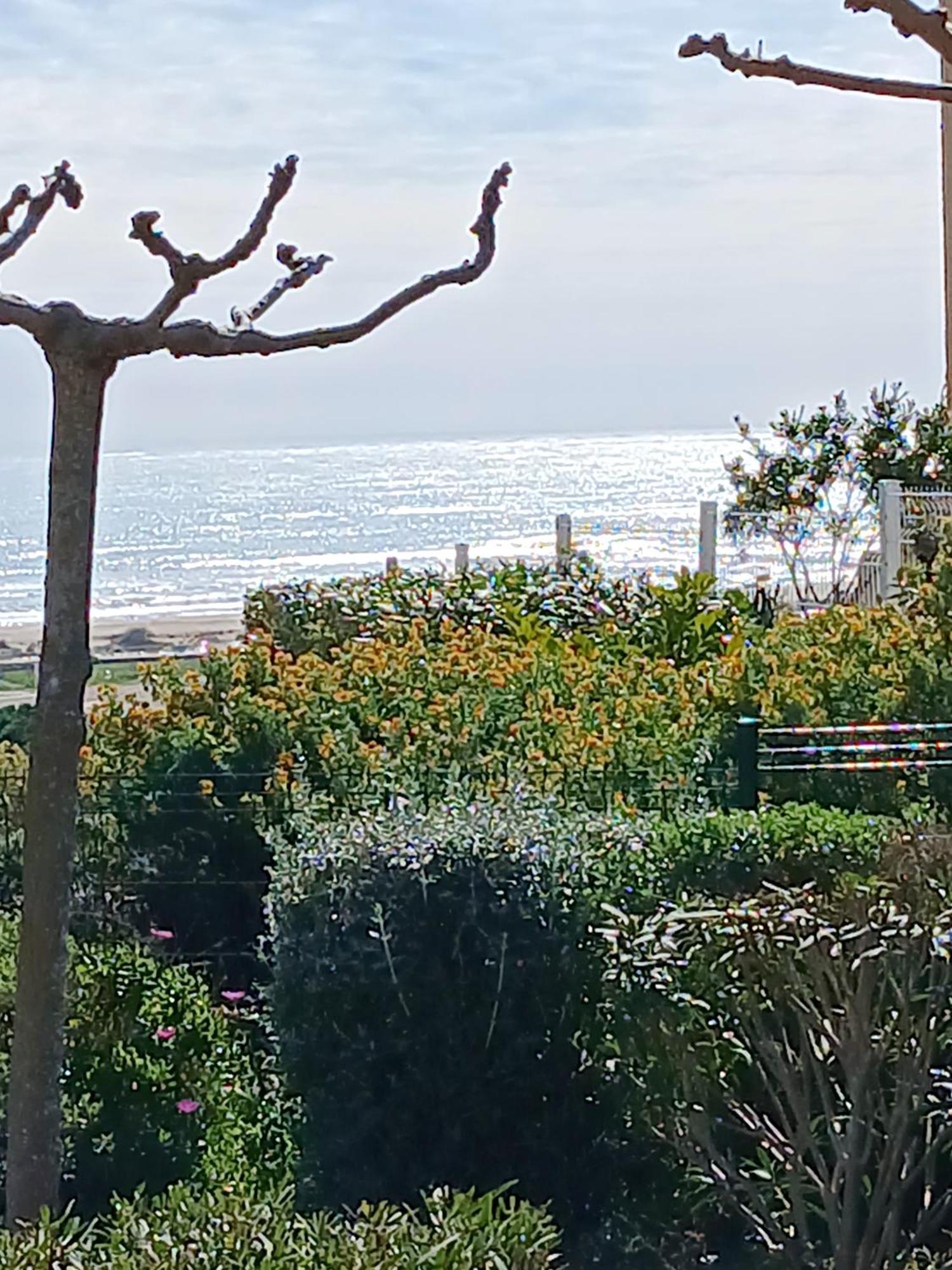 Plain-Pied Jardin 6 Personnes Clim Vue Mer Parking Wifi Terrasse Piscine Dans La Residence Saint-Pierre-la-Mer  Luaran gambar